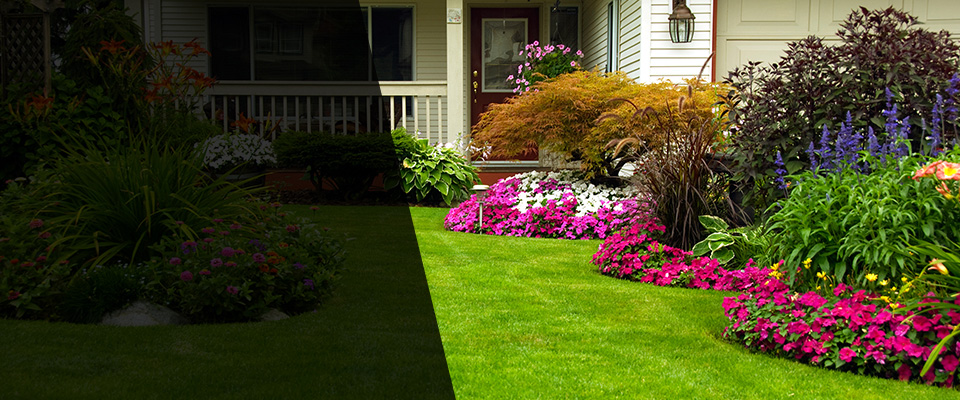 Laguna Beach Landscapers